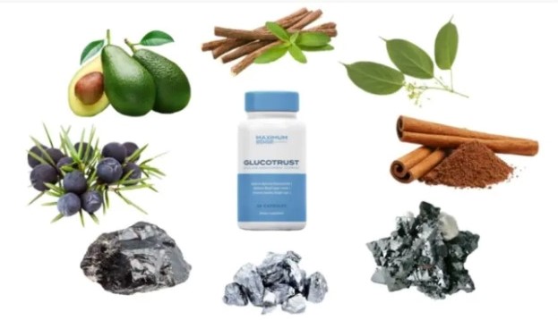 GlucoTrust Review Seen Promising Results