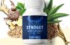 SynoGut Reviews Does it works? - Fitness Life Works 3 SynoGut Reviews Does it works? – Fitness Life Works